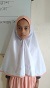 Saifa Mozumder