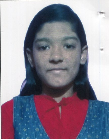 Arpa Sushil