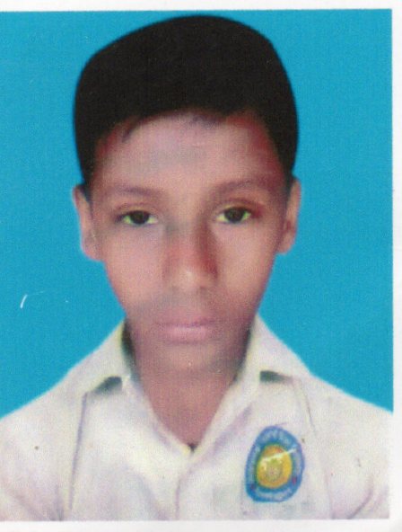 Hasanul Haque Ali