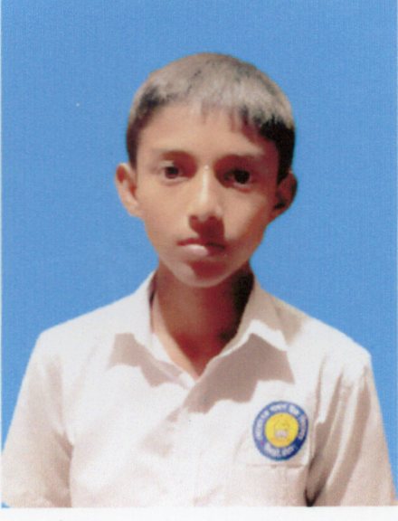 Md. Abdul Hamid Sayem