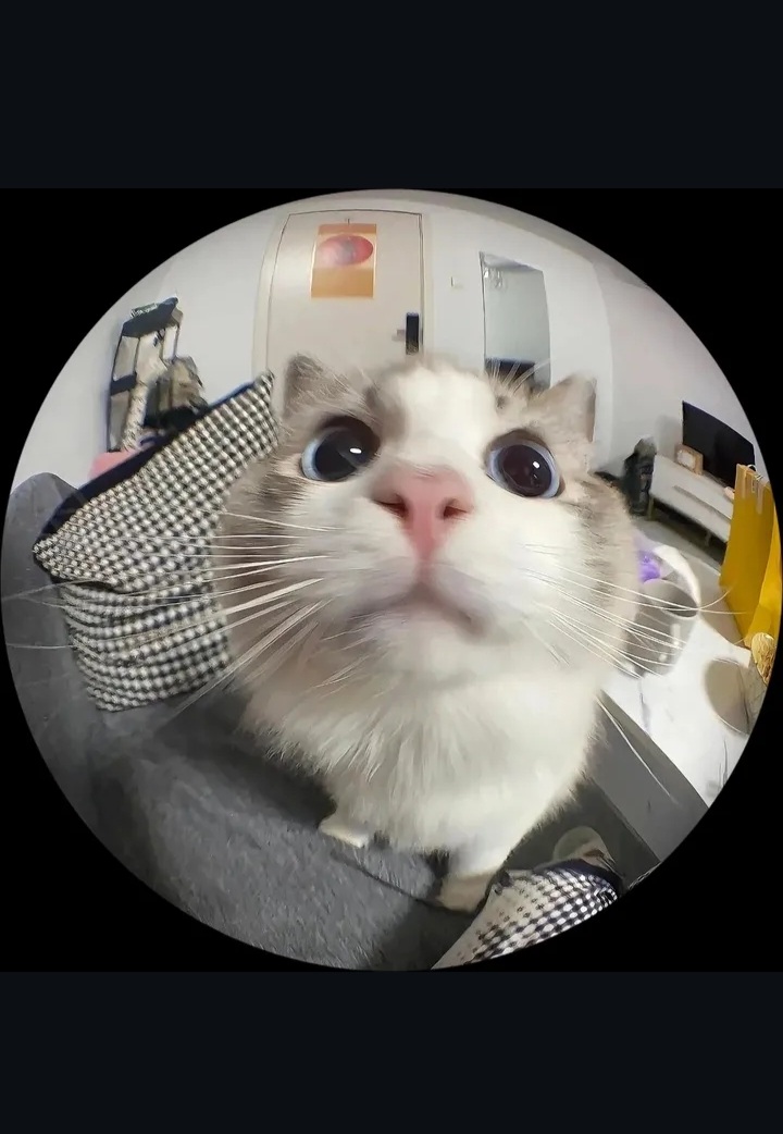 UMMA THARIN BINTE MIZAN