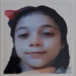 FARNAZ HOSSAIN PORSHI