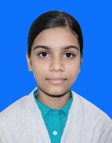 Nipa roy